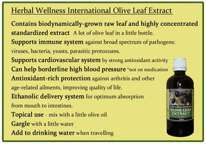 Best Olive Leaf Tincture 50ml Fortified for Maximum Strength